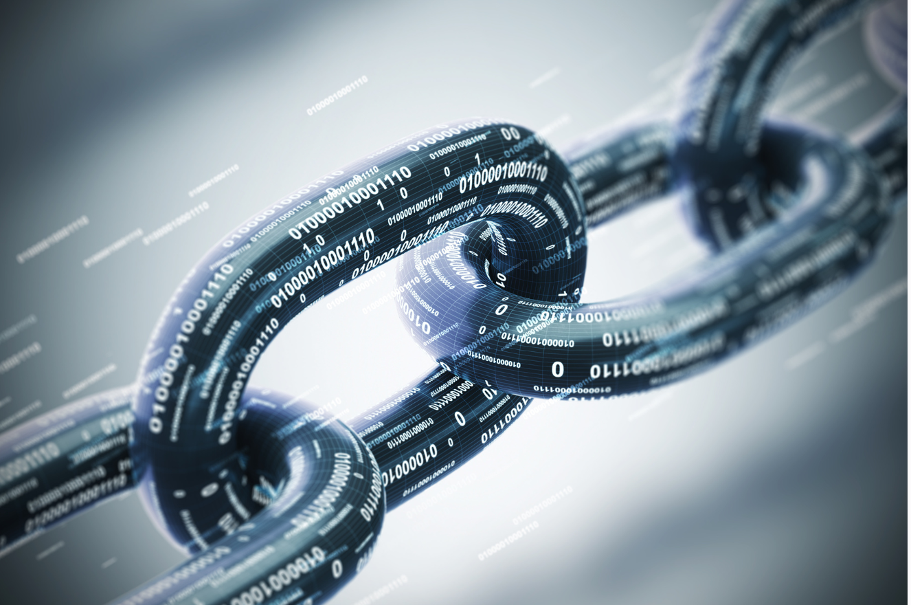 blockchain community audit